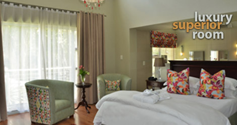Luxury Superior